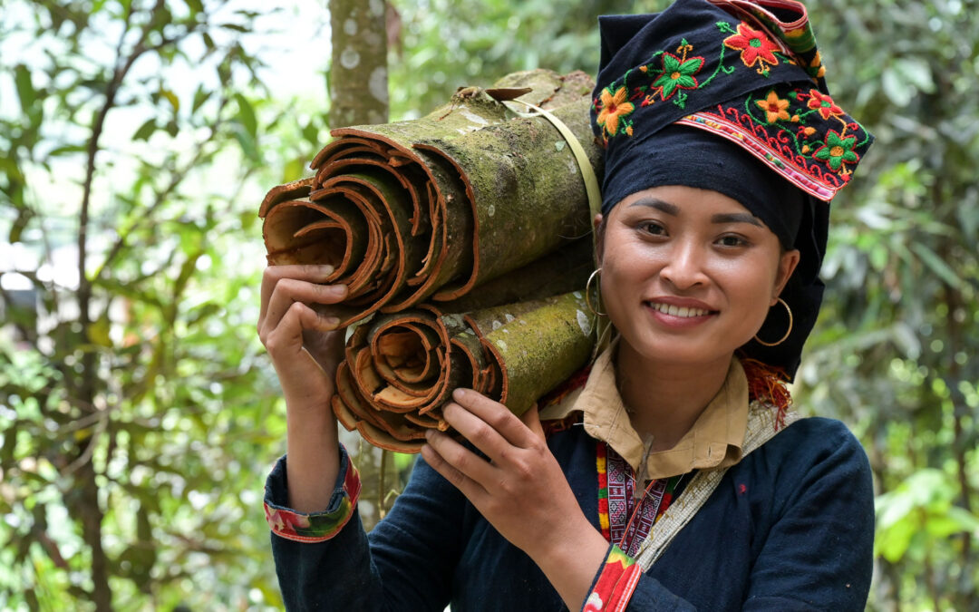 Vietnam_JBO_VNM23_03926_2000x1333