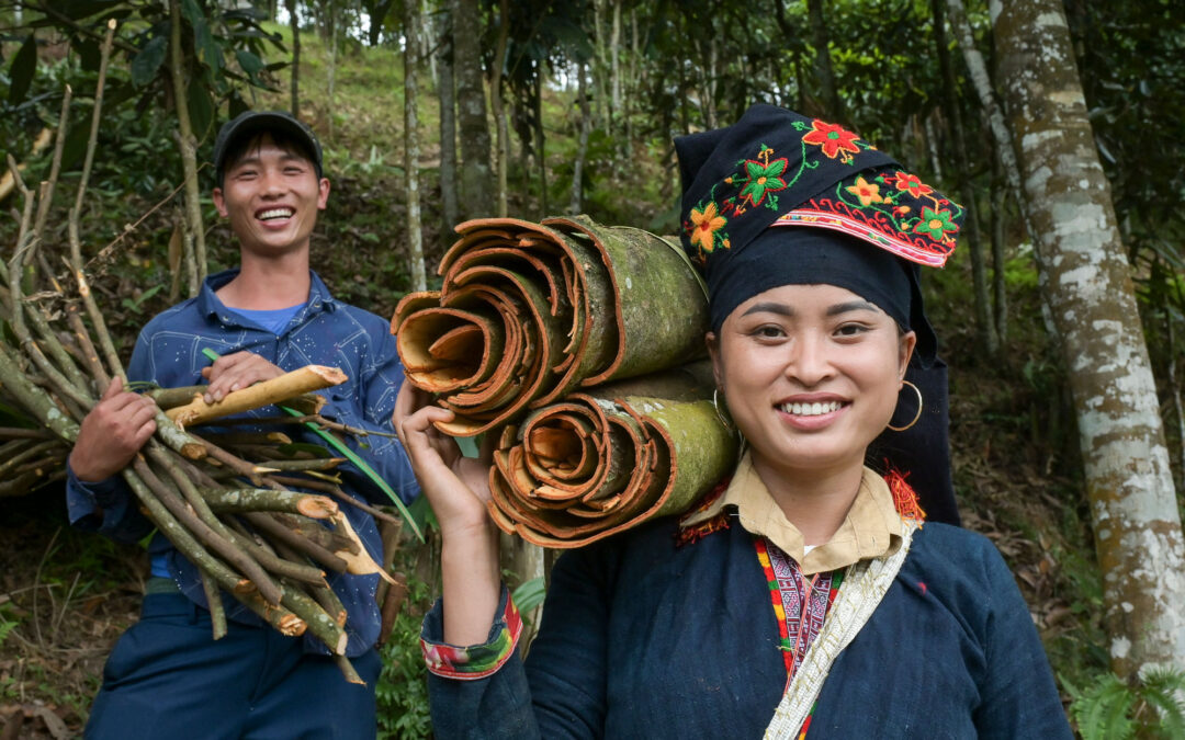 Vietnam_JBO_VNM23_03972_2000x1333