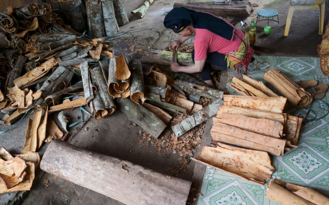 Vietnam_JBO_VNM23_04103_2000x1333